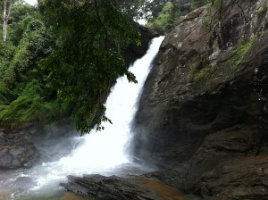 Soochipara_Falls,_Wayanad_Kerala,_2013_(Landscape).jpeg