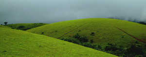 desti-vagamon-banner