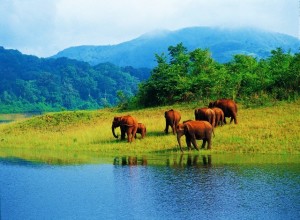 Kerala tourism packages from chennai