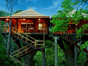 wayanad honeymoon tour packages