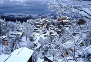 shimla tour packages from chennai