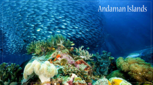 Andaman-tour-packages-from-chennai
