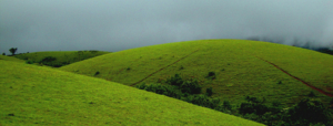 Hill Stations In South India